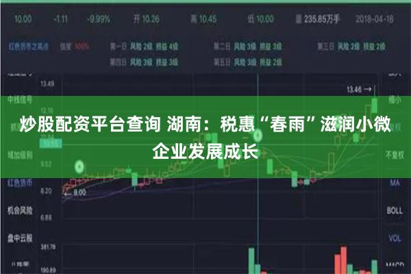炒股配资平台查询 湖南：税惠“春雨”滋润小微企业发展成长