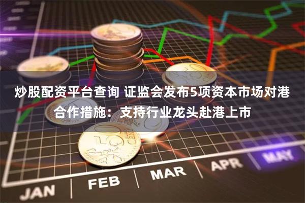 炒股配资平台查询 证监会发布5项资本市场对港合作措施：支持行业龙头赴港上市