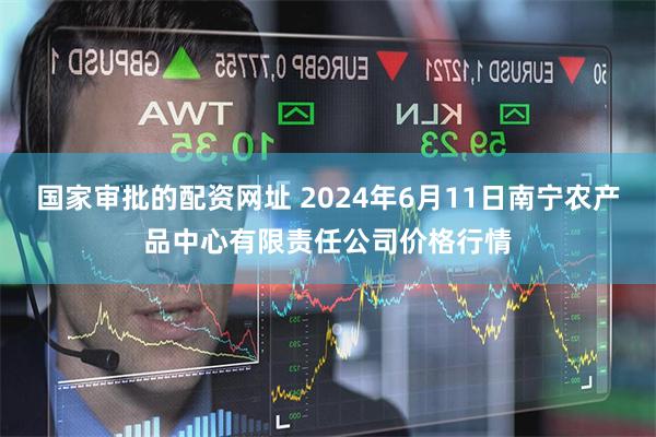 国家审批的配资网址 2024年6月11日南宁农产品中心有限责任公司价格行情