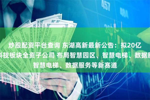 炒股配资平台查询 东湖高新最新公告：拟20亿元投设数字科技板块全资子公司 布局智慧园区、智慧电梯、数据服务等新赛道