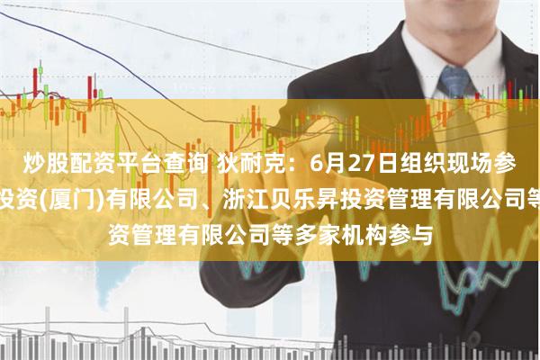 炒股配资平台查询 狄耐克：6月27日组织现场参观活动，晟耕投资(厦门)有限公司、浙江贝乐昇投资管理有限公司等多家机构参与