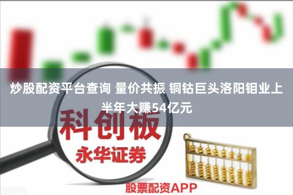 炒股配资平台查询 量价共振 铜钴巨头洛阳钼业上半年大赚54亿元