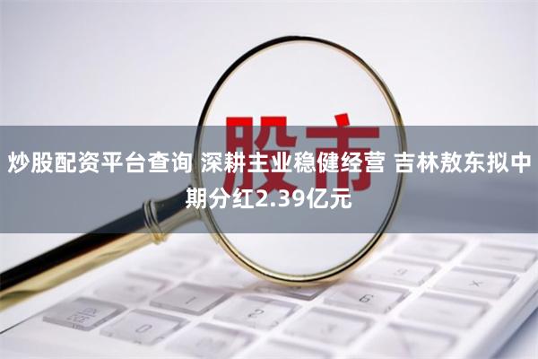 炒股配资平台查询 深耕主业稳健经营 吉林敖东拟中期分红2.39亿元