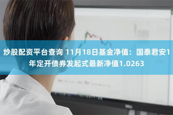 炒股配资平台查询 11月18日基金净值：国泰君安1年定开债券发起式最新净值1.0263