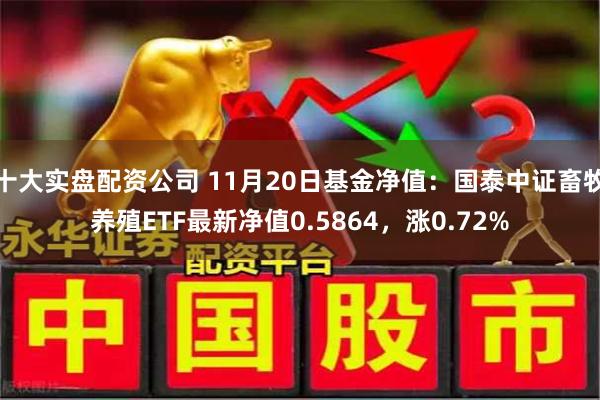 十大实盘配资公司 11月20日基金净值：国泰中证畜牧养殖ETF最新净值0.5864，涨0.72%