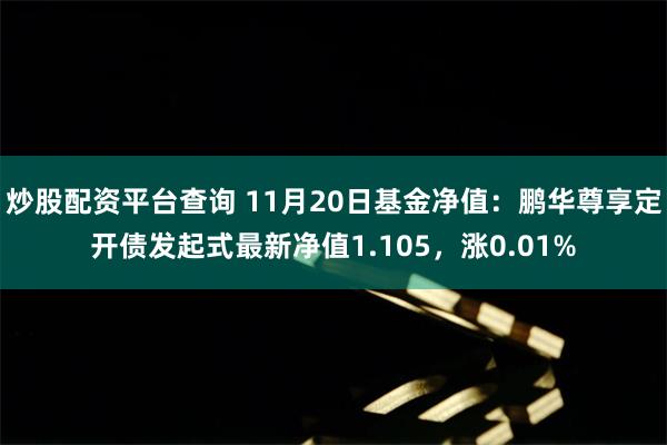 炒股配资平台查询 11月20日基金净值：鹏华尊享定开债发起式最新净值1.105，涨0.01%