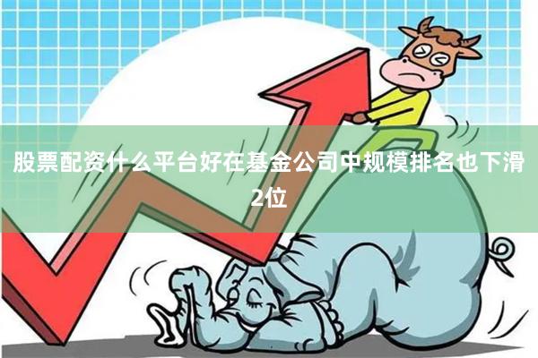 股票配资什么平台好在基金公司中规模排名也下滑2位