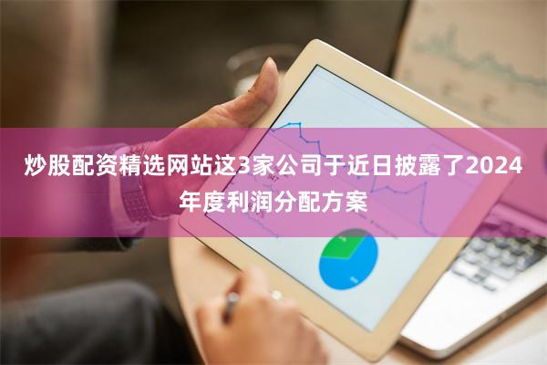 炒股配资精选网站这3家公司于近日披露了2024年度利润分配方案