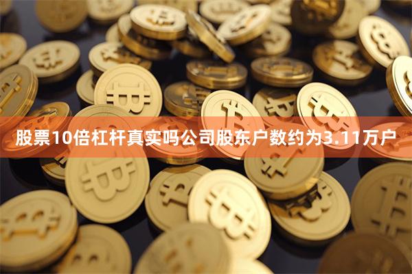 股票10倍杠杆真实吗公司股东户数约为3.11万户