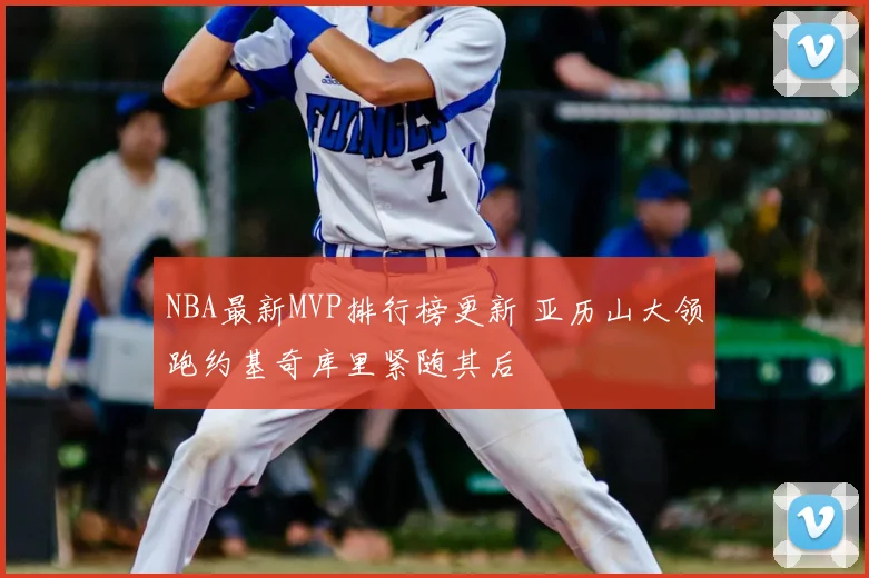 NBA最新MVP排行榜更新 亚历山大领跑约基奇库里紧随其后